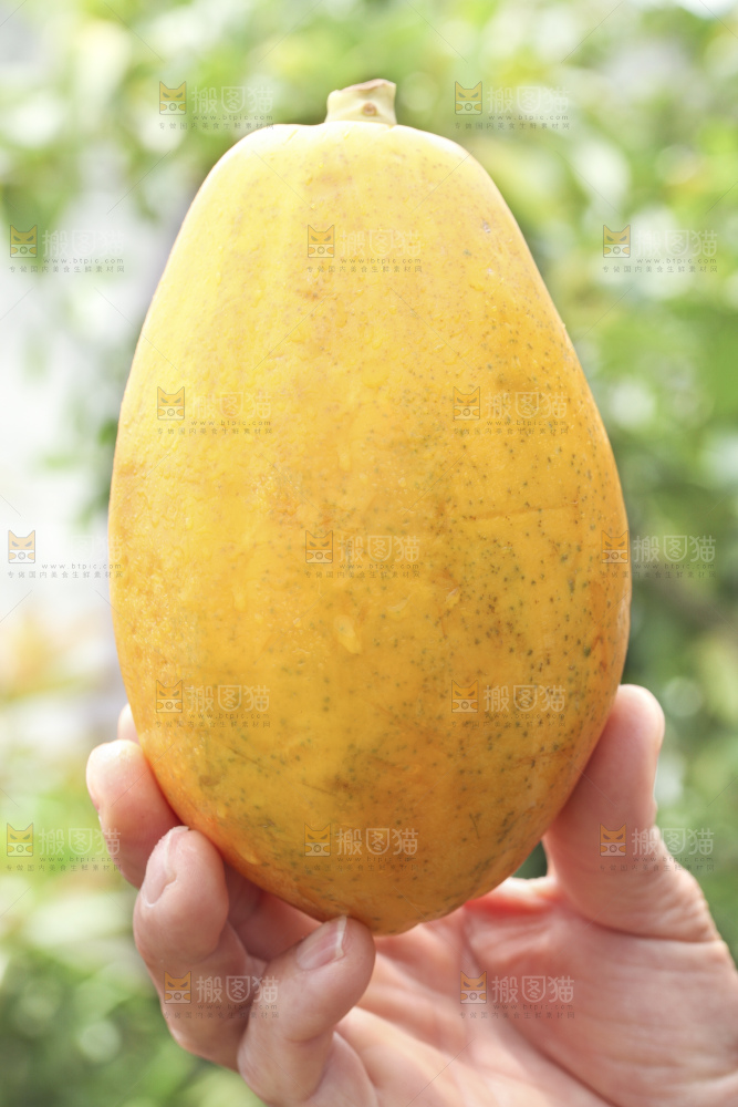 草地上的红心木瓜