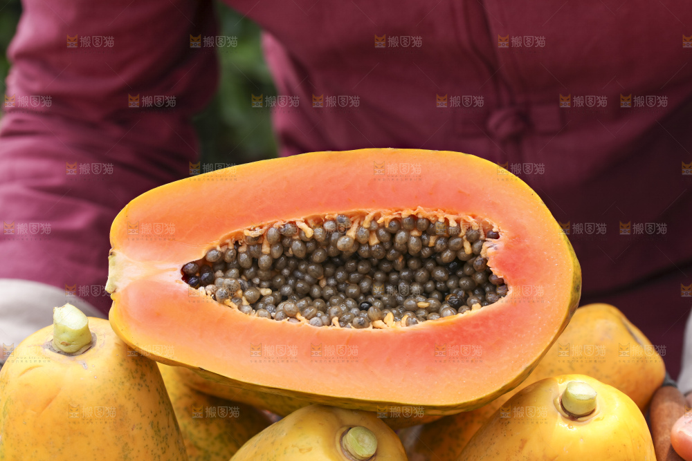 草地上的红心木瓜