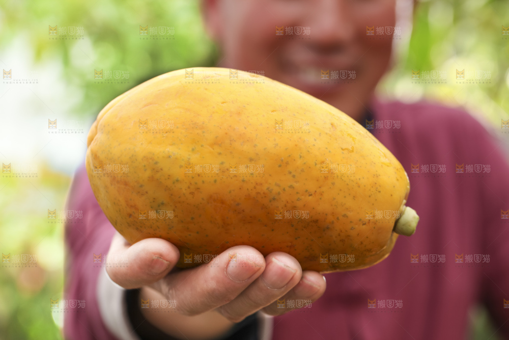 手里拿着红心木瓜