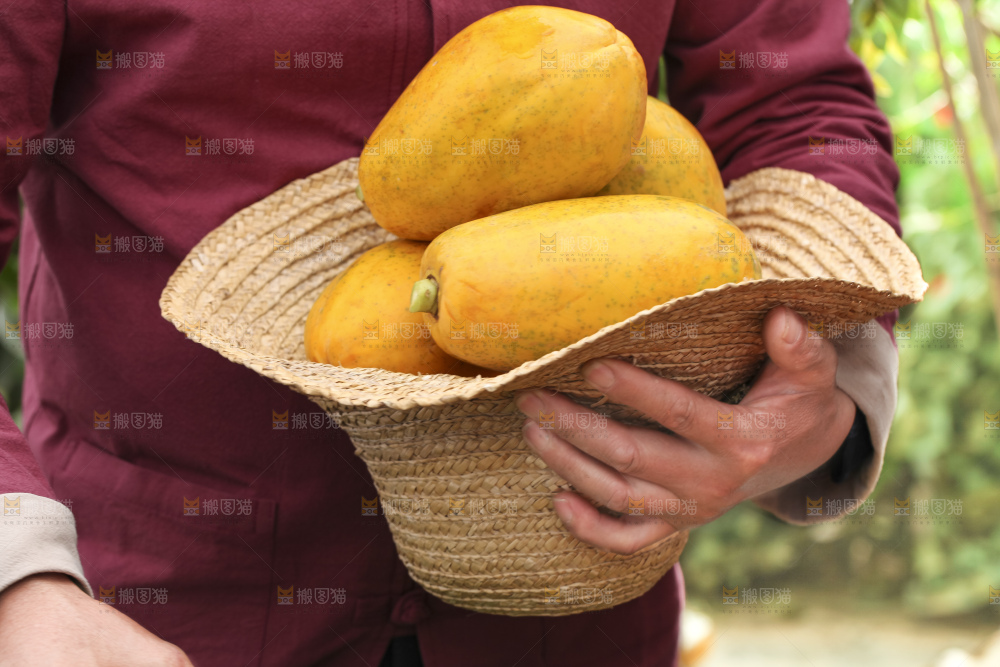 手里拿着红心木瓜