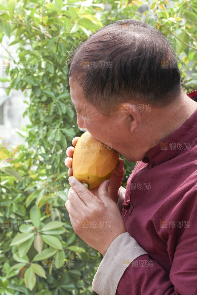 手里拿着红心木瓜