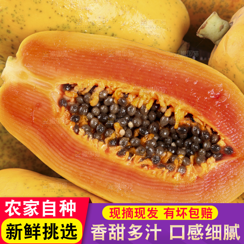 白底上的红心木瓜