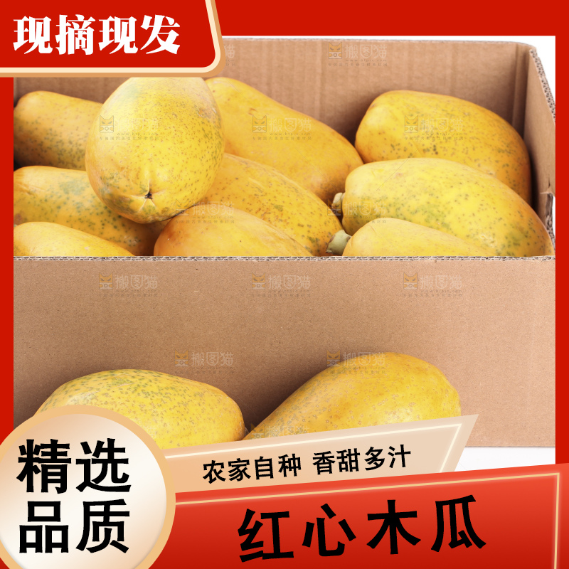 白底上的红心木瓜