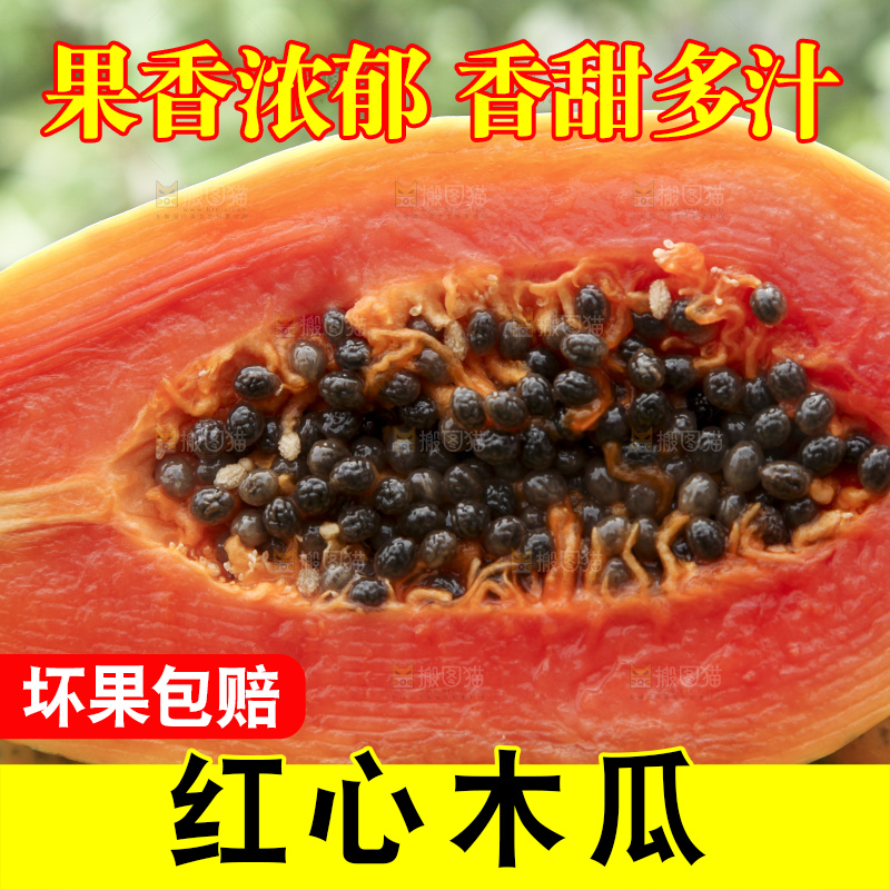 草地上的红心木瓜