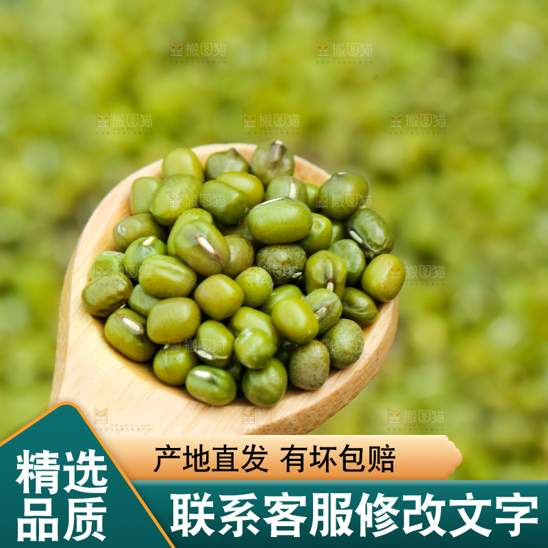 草地上的绿豆