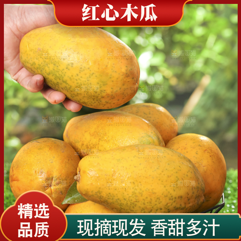 草地上的红心木瓜
