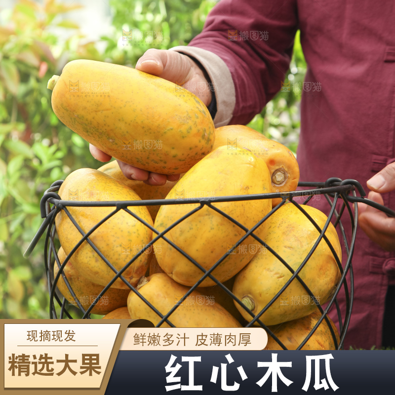 草地上的红心木瓜