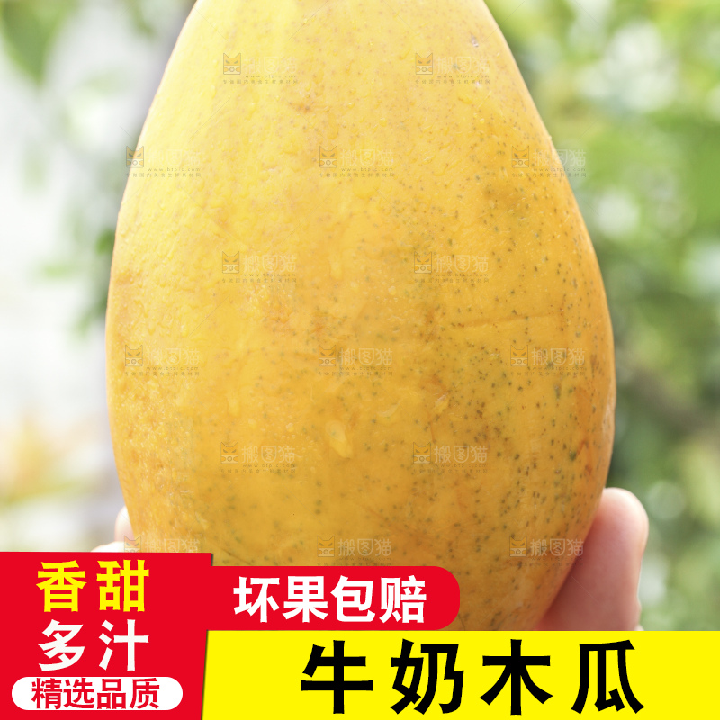 草地上的红心木瓜