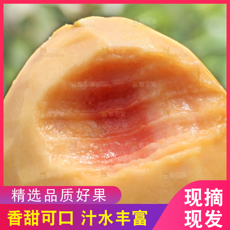 草地上的红心木瓜