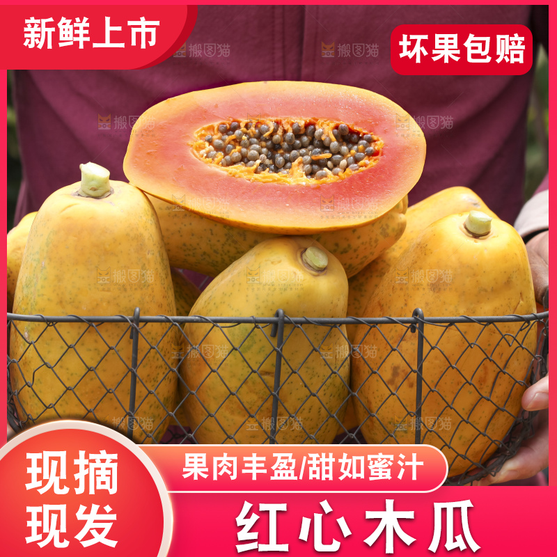 草地上的红心木瓜