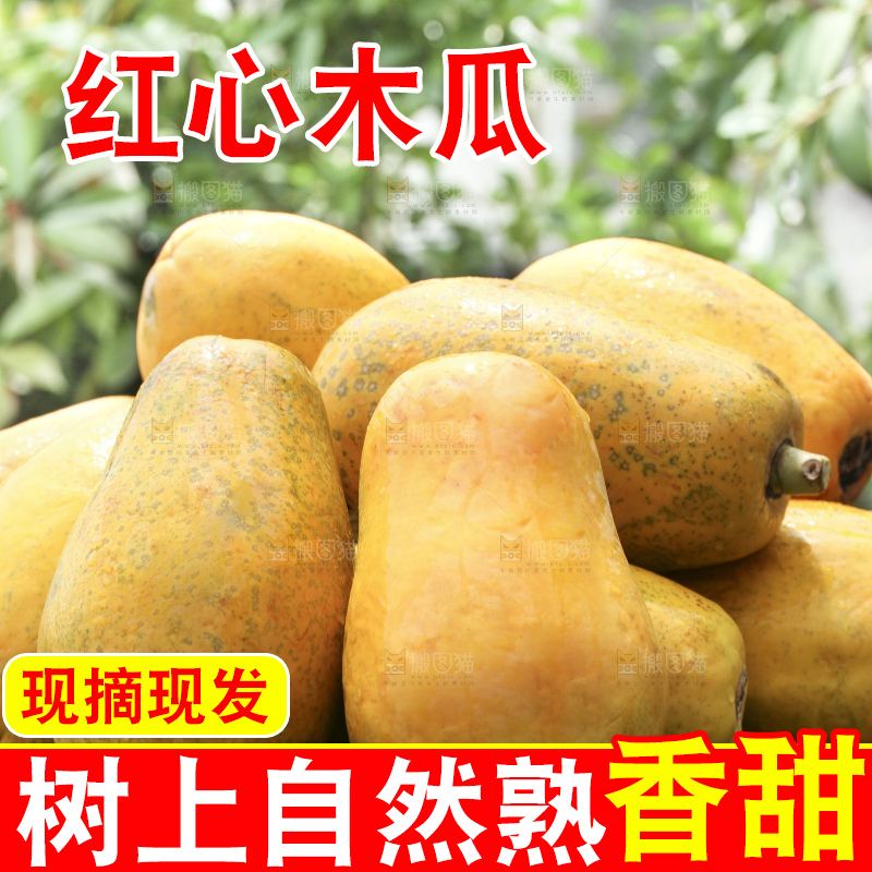 草地上的红心木瓜