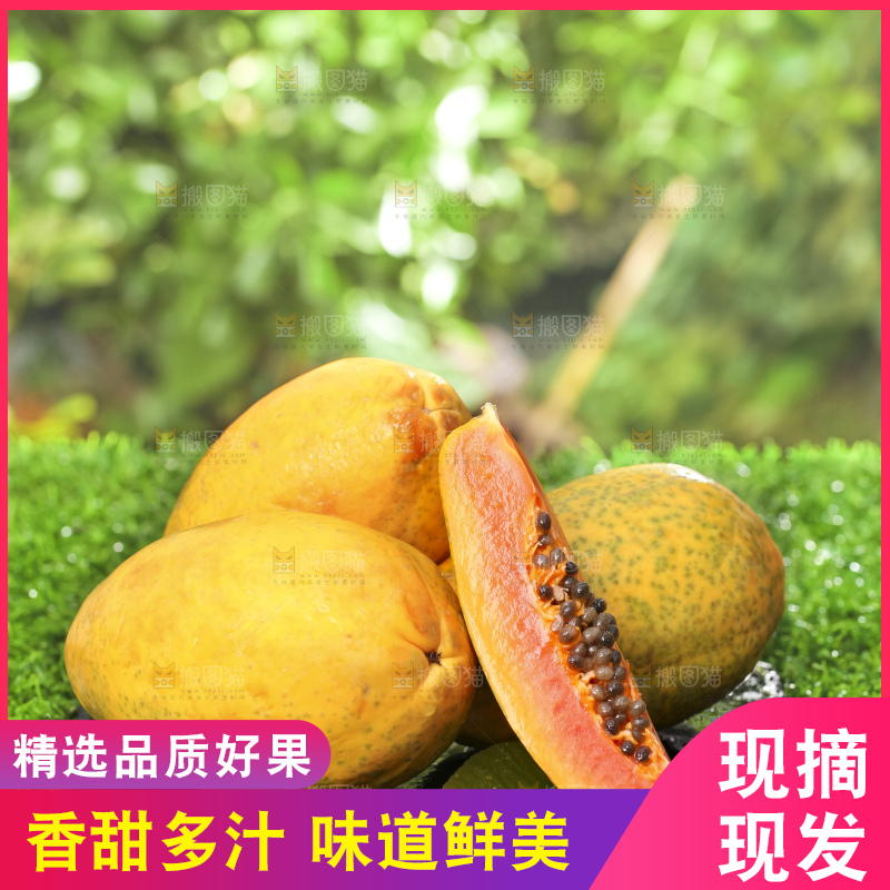 草地上的红心木瓜