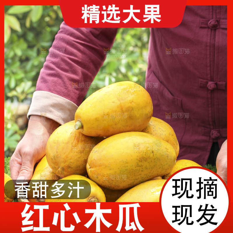草地上的红心木瓜