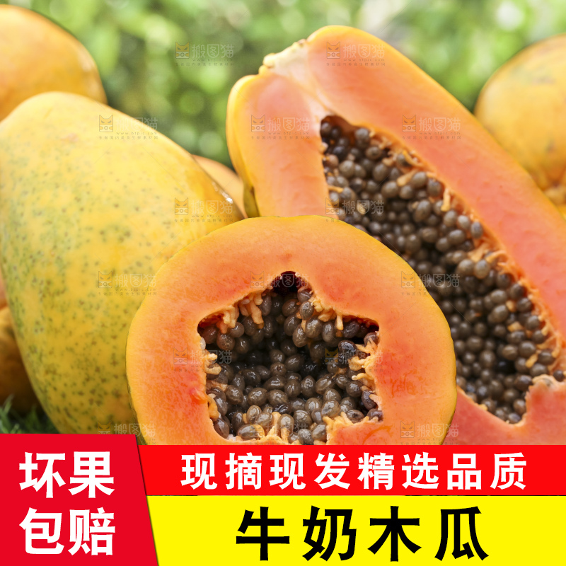 草地上的红心木瓜