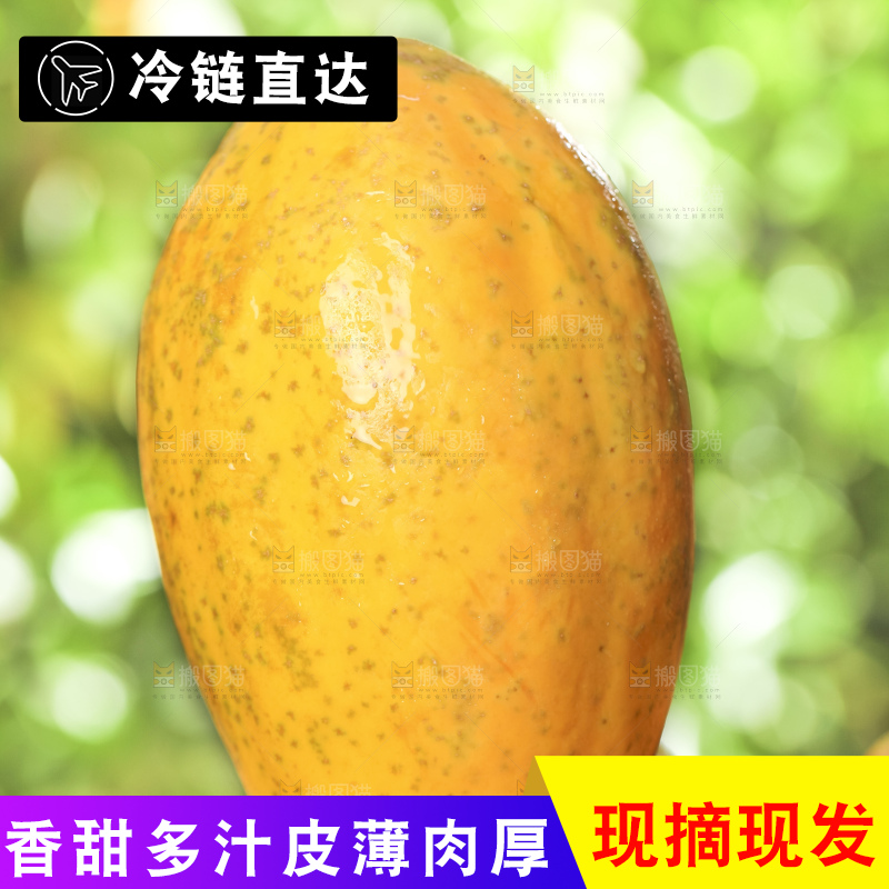 草地上的红心木瓜