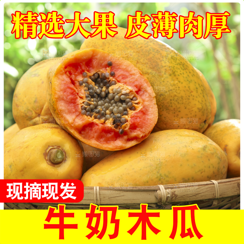草地上的红心木瓜