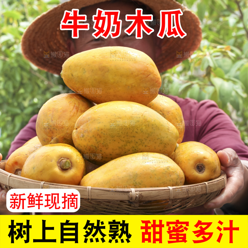 手里拿着红心木瓜