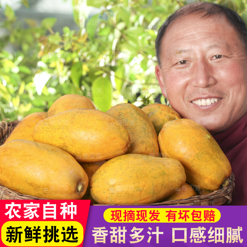 手里拿着红心木瓜