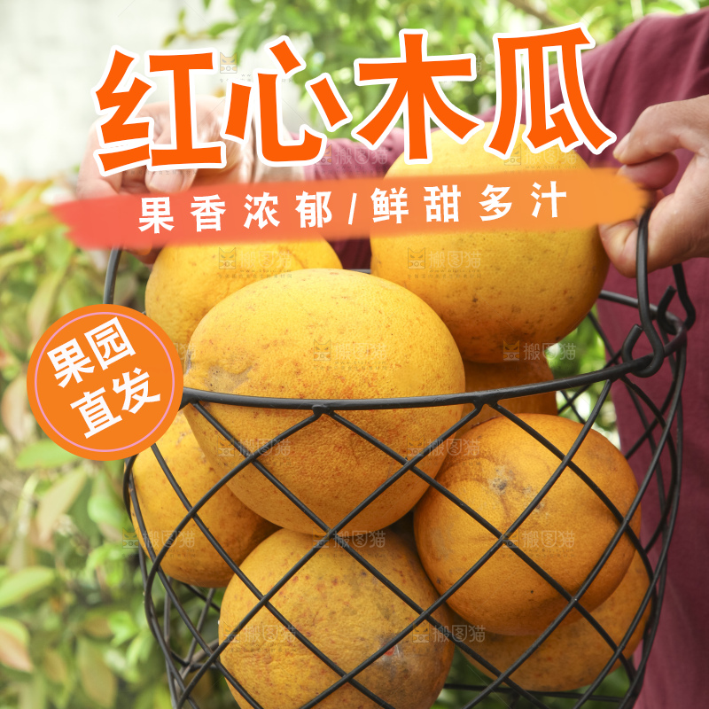 手里拿着红心木瓜