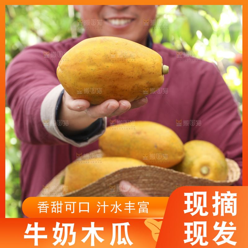 手里拿着红心木瓜