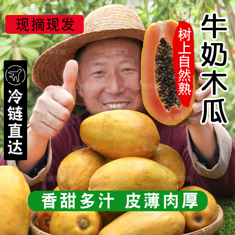 手里拿着红心木瓜