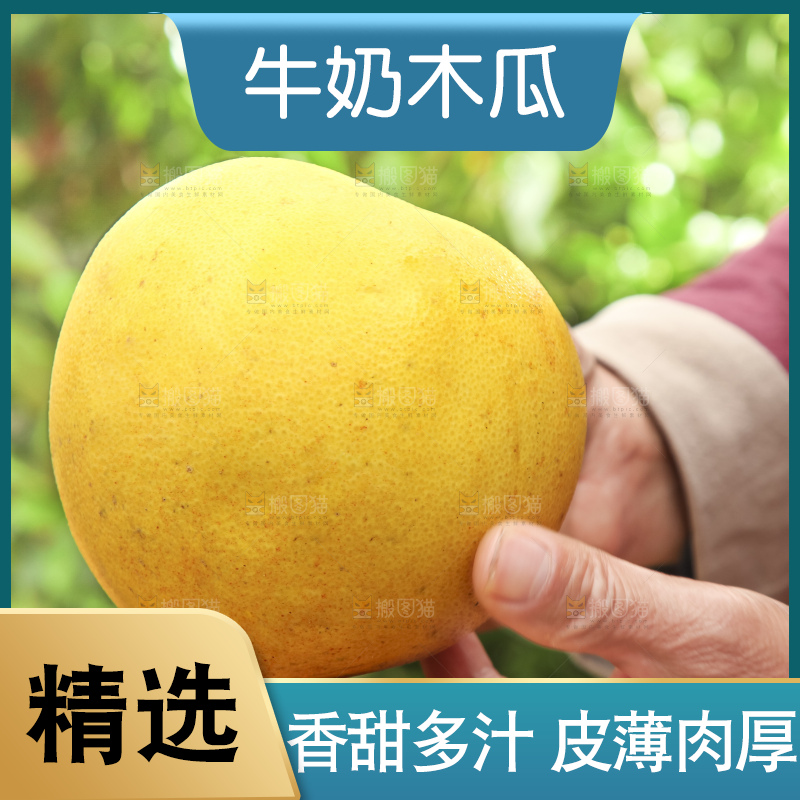 手里拿着红心木瓜