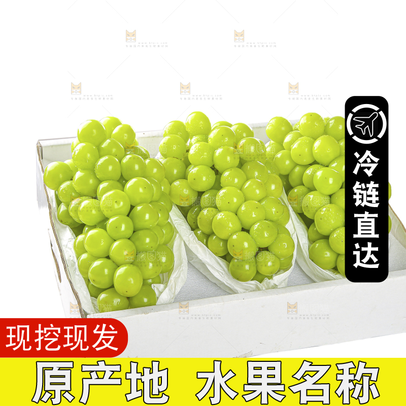 白底礼盒里的阳光玫瑰
