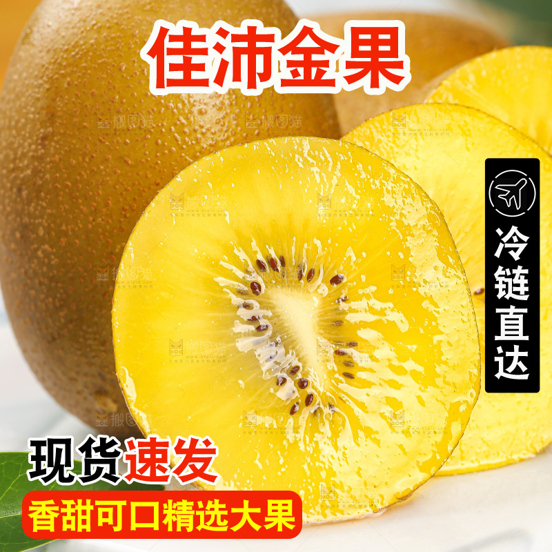 浅底上的佳沛金果