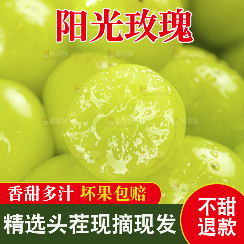 木底上的阳光玫瑰