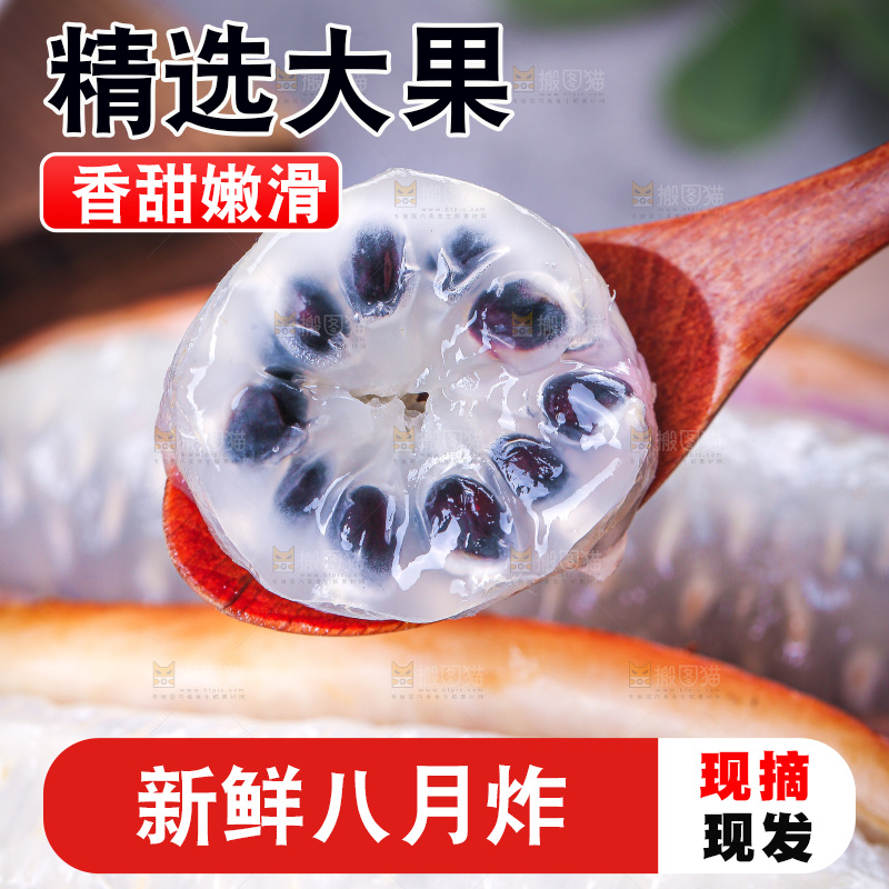 深底上的八月瓜