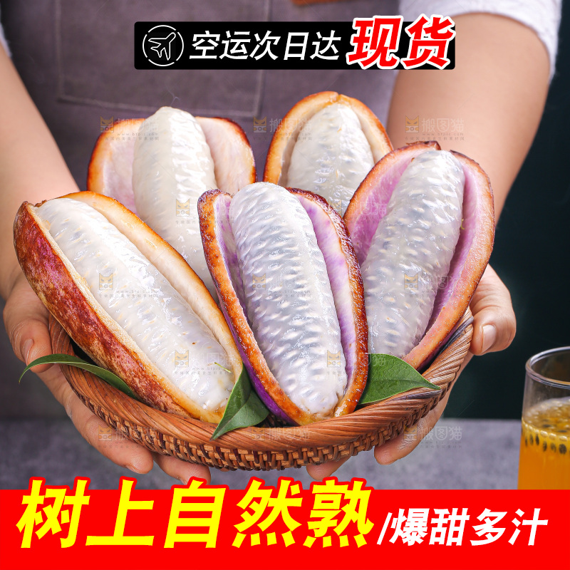深底上的八月瓜
