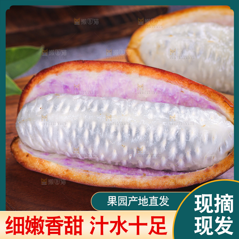 深底上的八月瓜