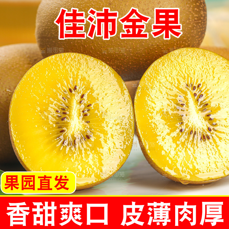 浅底上的佳沛金果