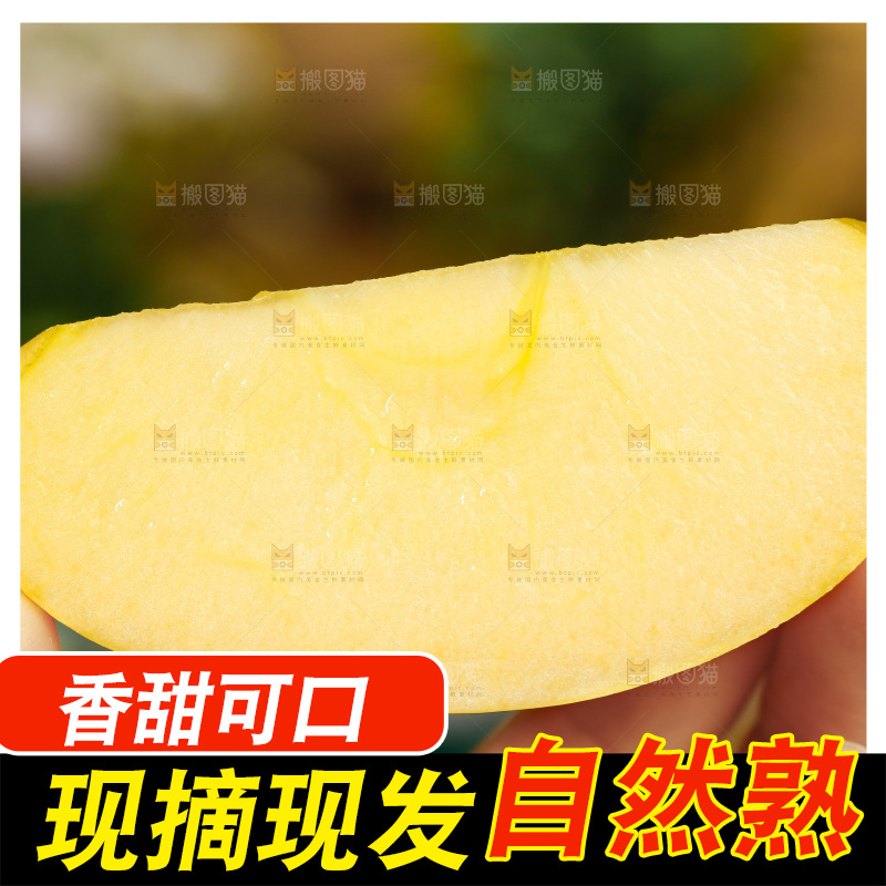 深底上的维纳斯苹果
