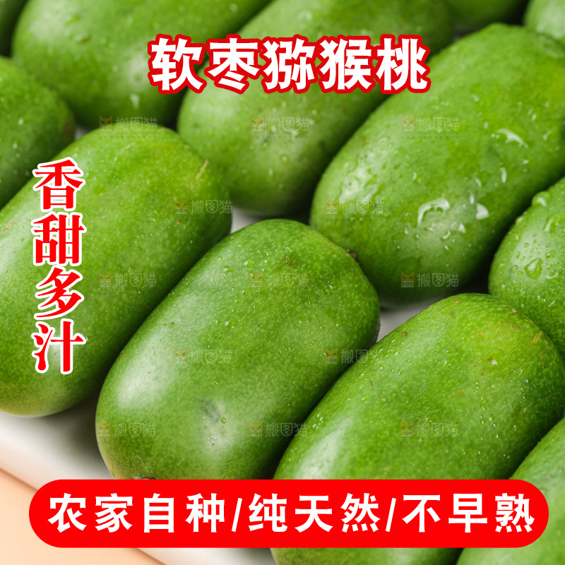 浅底上的软枣猕猴桃