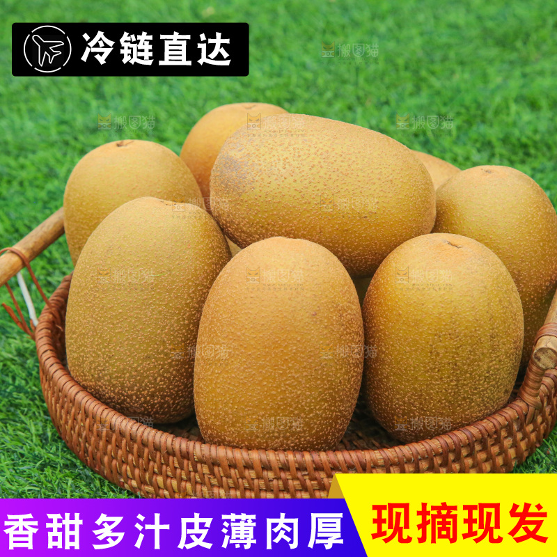 草地上的佳沛奇异果