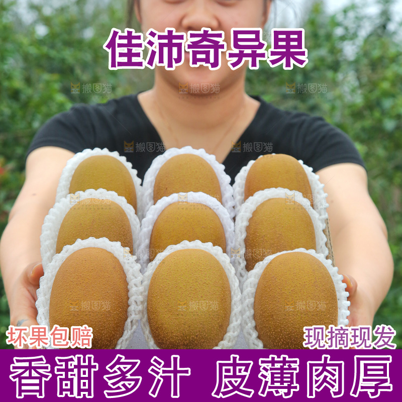 手里拿着佳沛奇异果