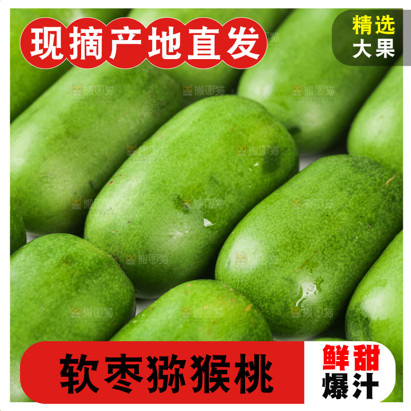 浅底上的软枣猕猴桃