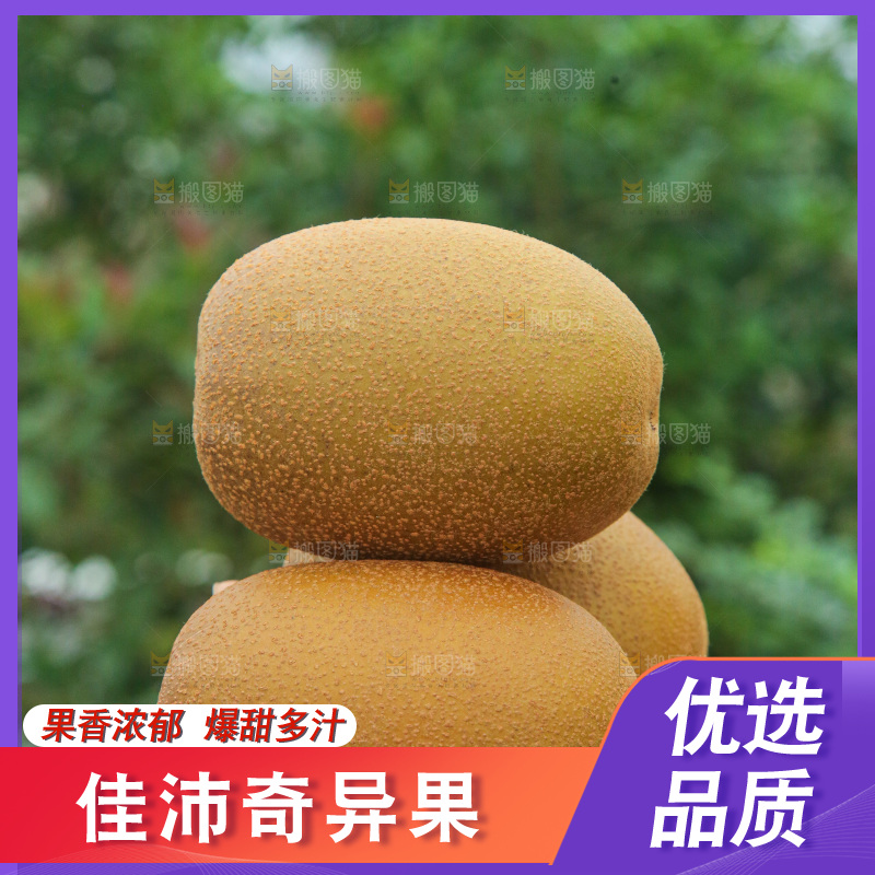 手里拿着佳沛奇异果