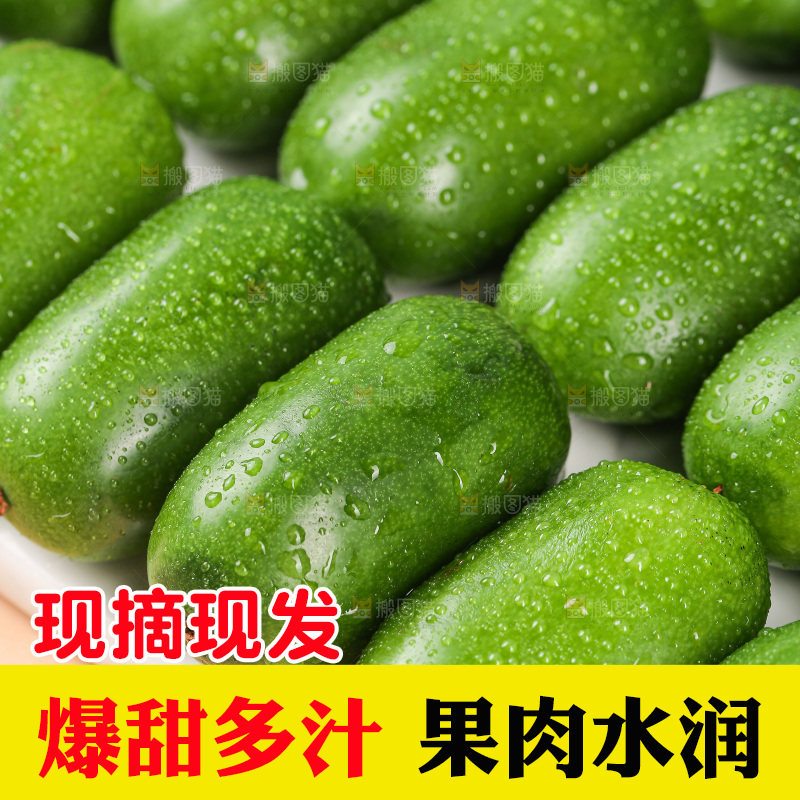 浅底上的软枣猕猴桃