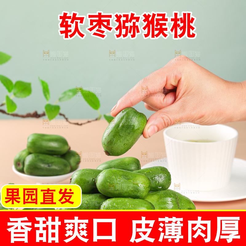 浅底上的软枣猕猴桃