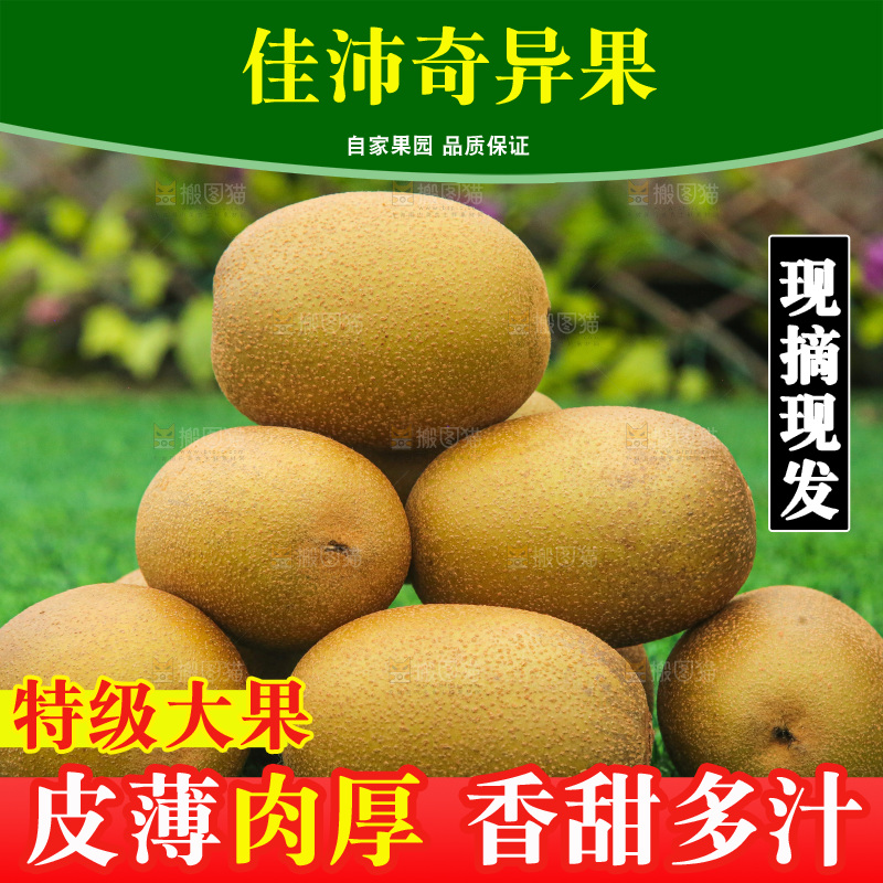 草地上的佳沛奇异果