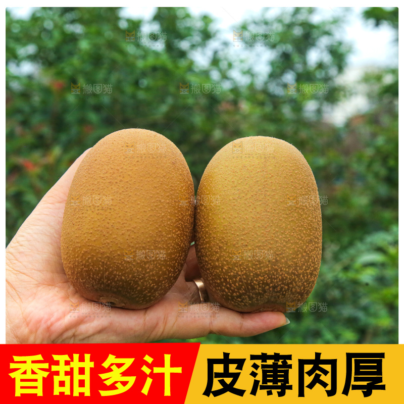 手里拿着佳沛奇异果