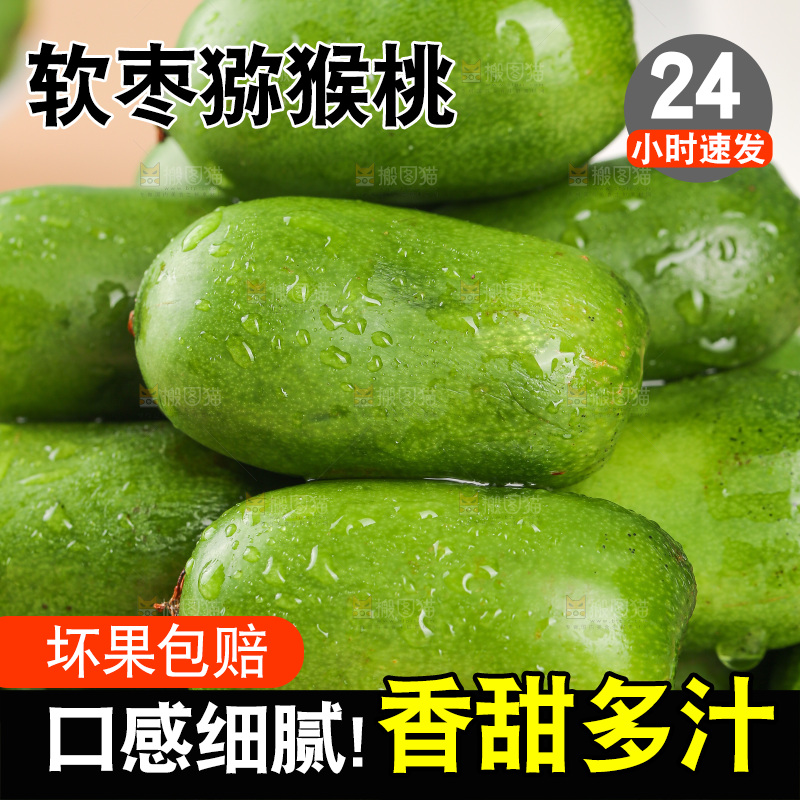 浅底上的软枣猕猴桃