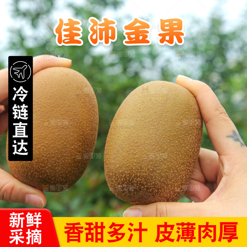 手里拿着佳沛奇异果