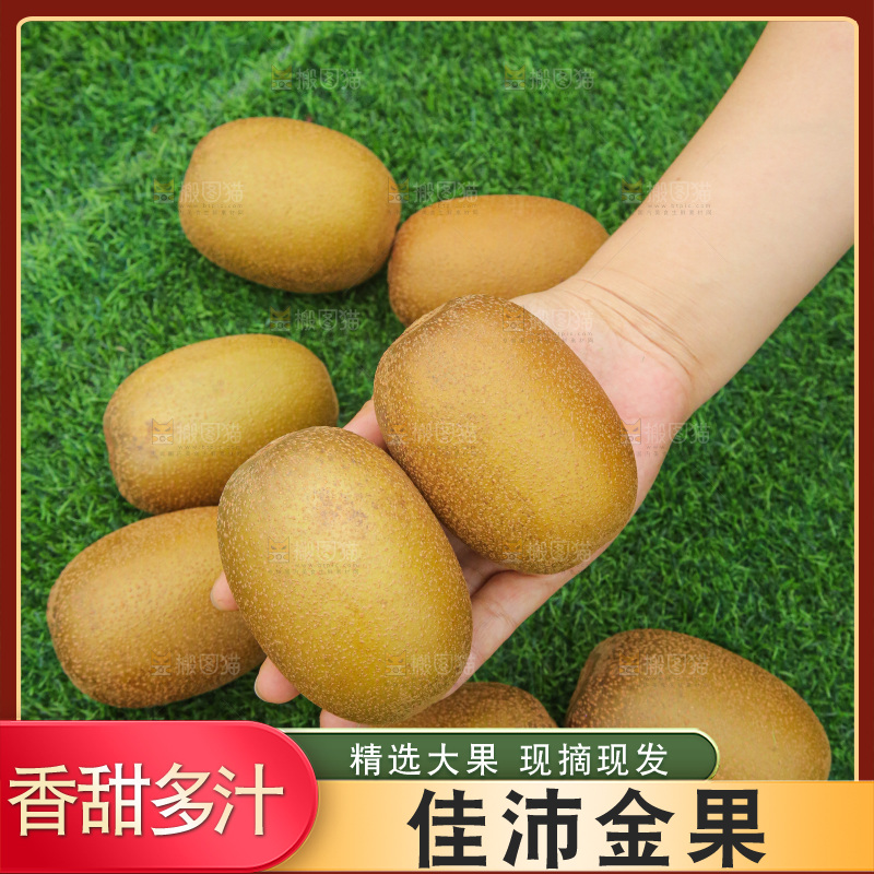 手里拿着佳沛奇异果