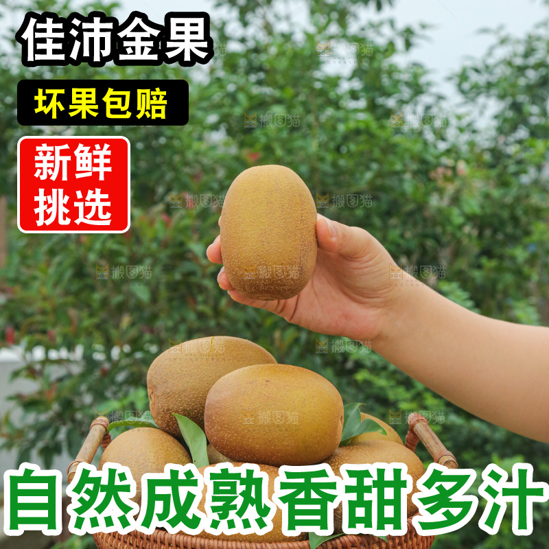 手里拿着佳沛奇异果