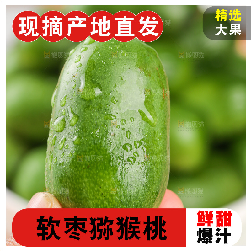 浅底上的软枣猕猴桃