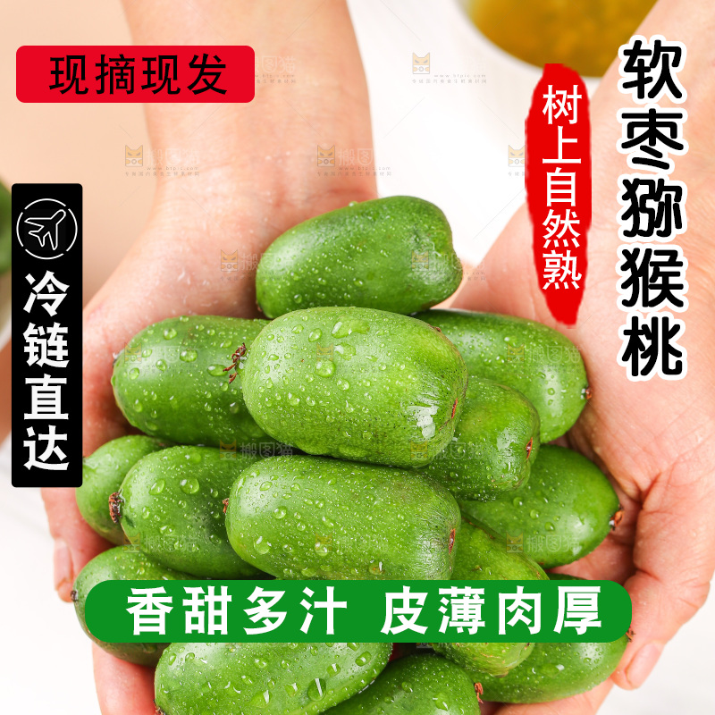 浅底上的软枣猕猴桃