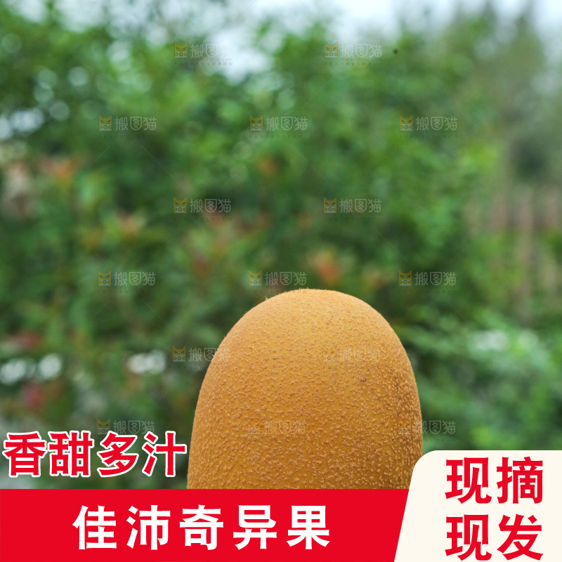 手里拿着佳沛奇异果